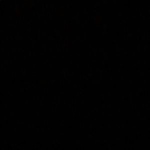 Meet your Posher, Autumn